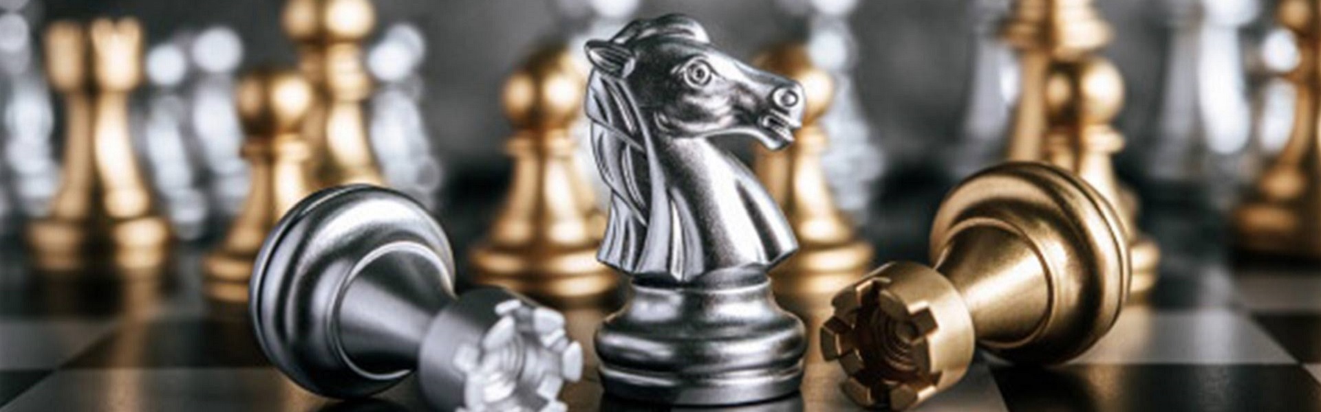 Rent a car Novi Sad |  Chess lessons Dubai & New York