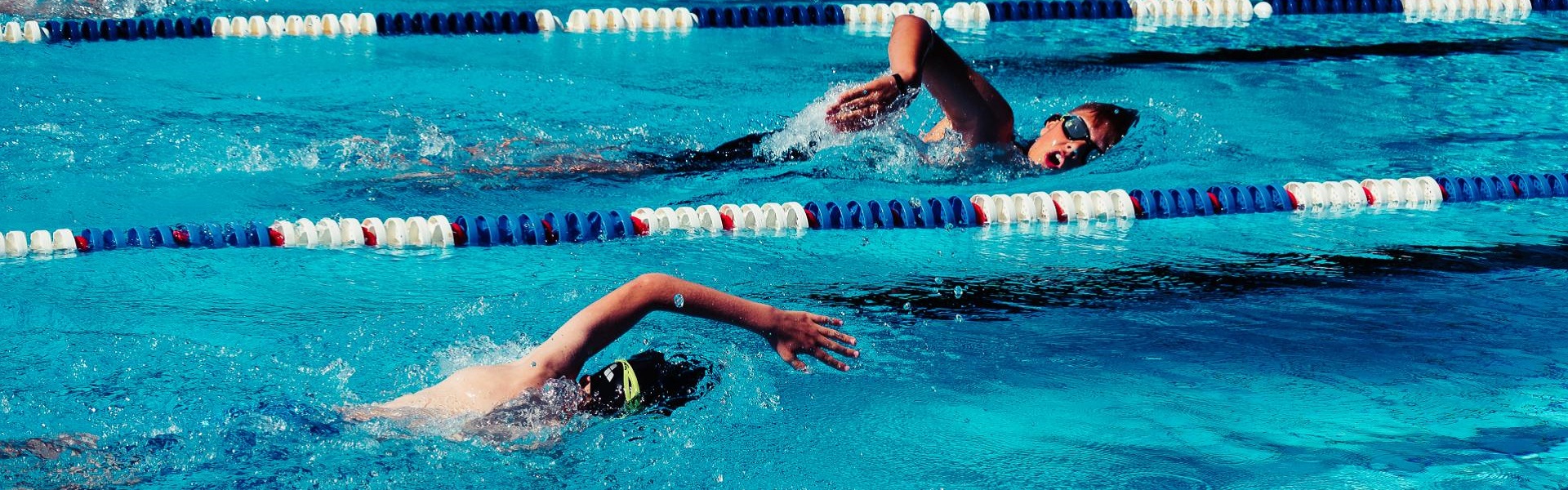 Car rental Novi Sad | Swim Way Swimming School